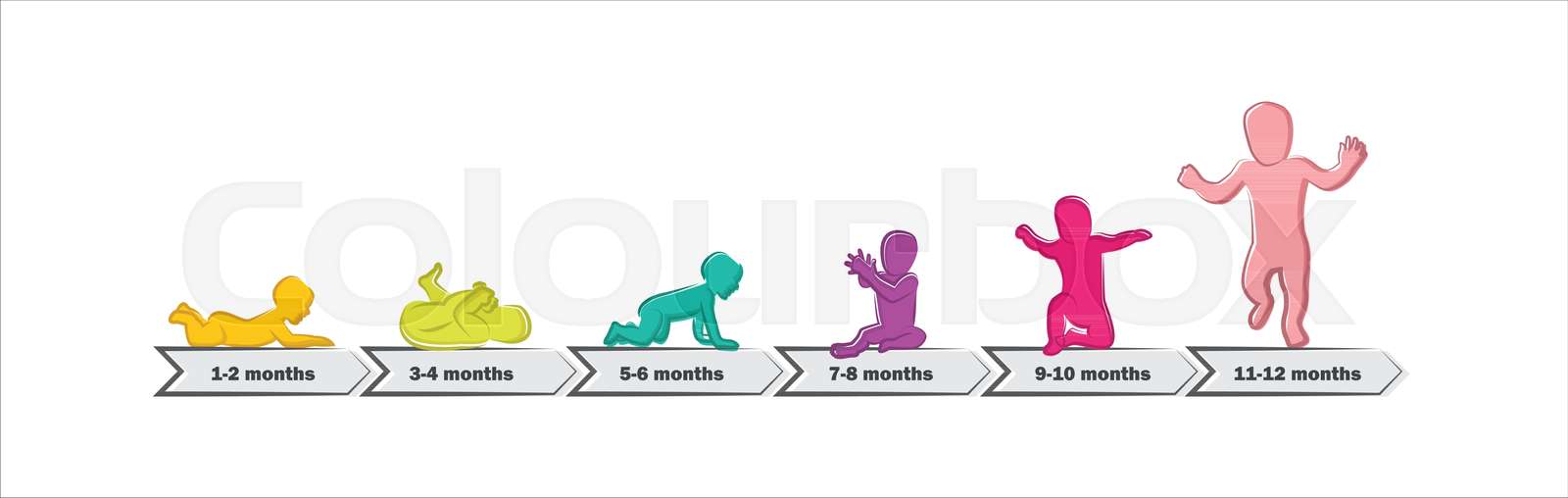 | Stock-Vektor | Colourbox - Lichamelijke Ontwikkeling Baby 0-1 Jaar