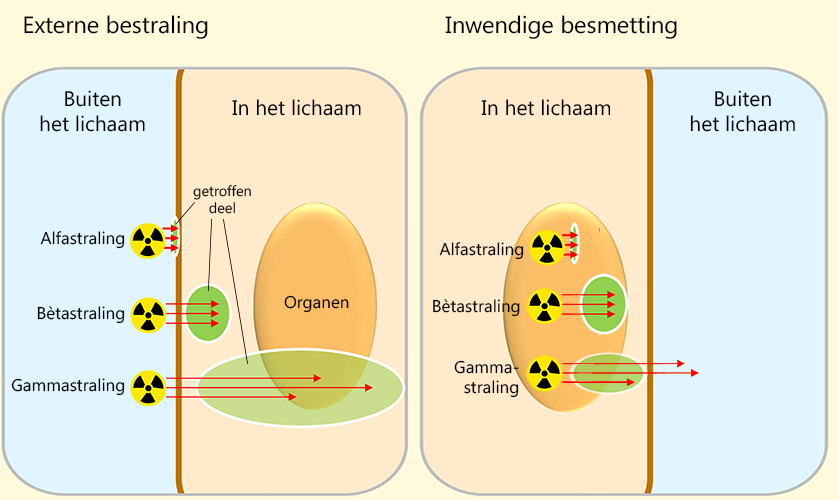 Straling en radioactiviteit uitgelegd | RIVM - Wat Doet Radioactieve Straling Met Je Lichaam