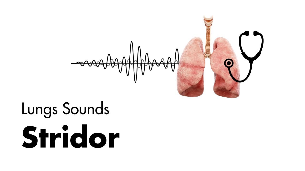 Stridor - Lung Sounds - MEDZCOOL - YouTube - Expiratoire Stridor En Inspiratoire Stridor