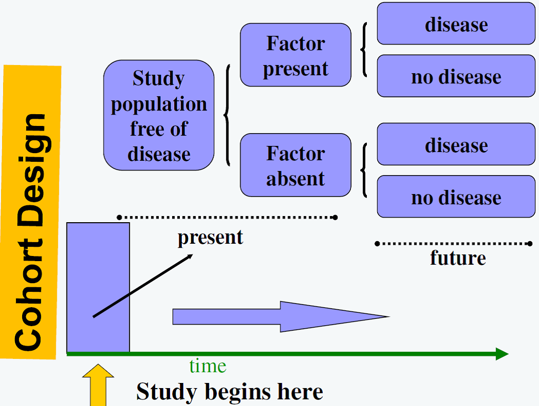 Study design: Observational Study Designs: Cohort study | learnonline - Wat Is Een Cohort Study