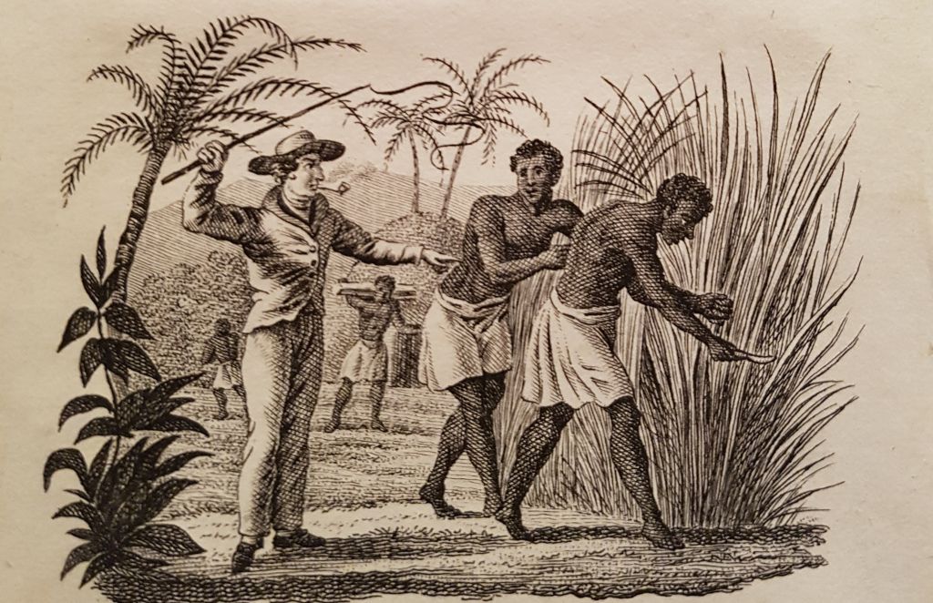 suikerriet tony en eduard | Kunstgeschichte, Kunst, Neue welt - Levensbeschouwing Die In De 20e Eeuw In Jamaica Ontstond