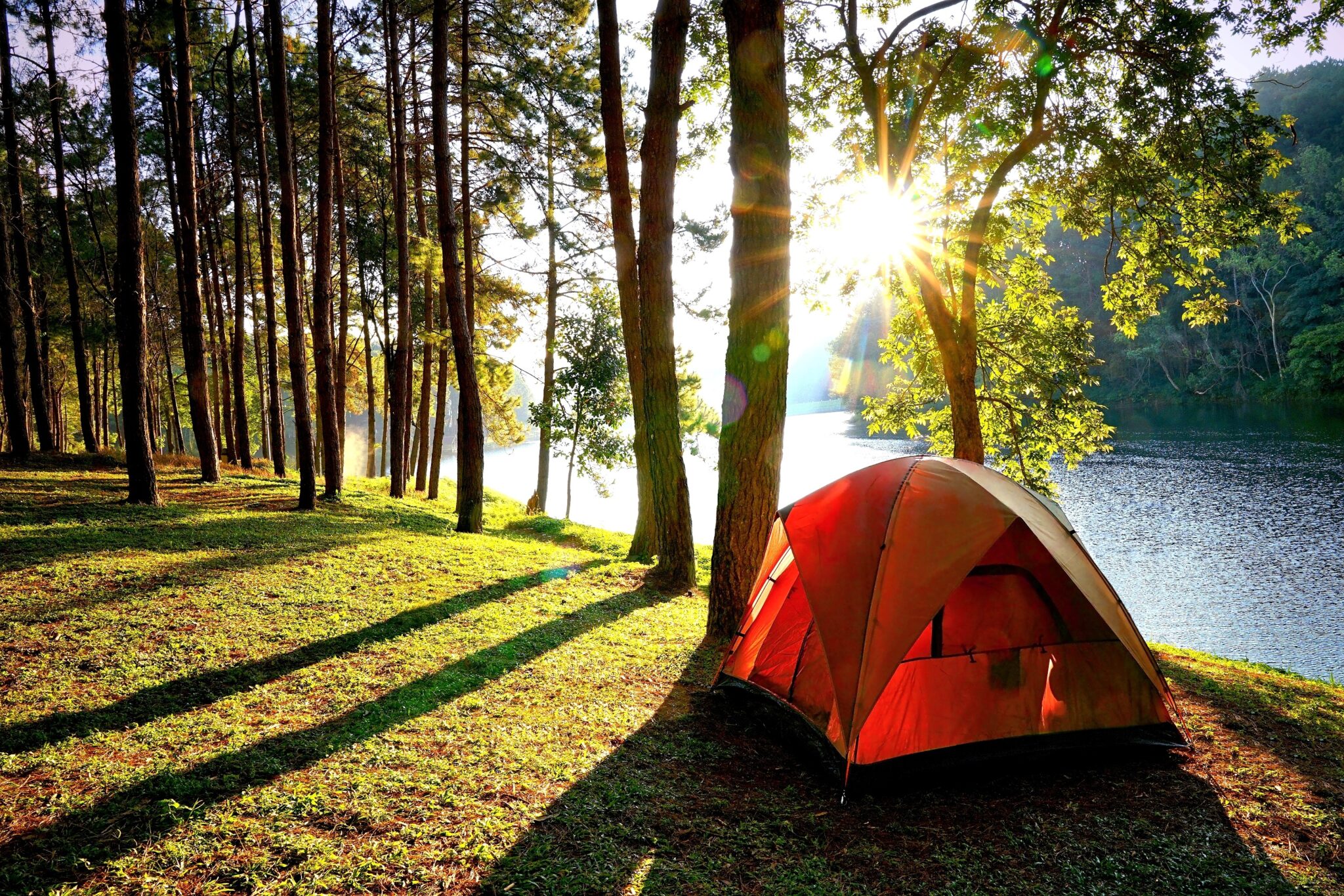 Summer Camping Spots in the Northeast - Price Chopper - Market 32 - Camping T Beloofde Land Voorthuizen