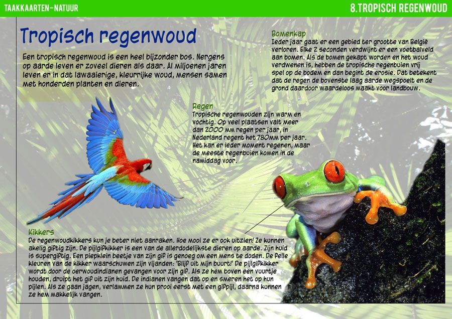 Taakkaart tropisch regenwoud | Regenwoud thema, Regenwouden, Taakkaarten - Waar Ligt Het Tropisch Regenwoud