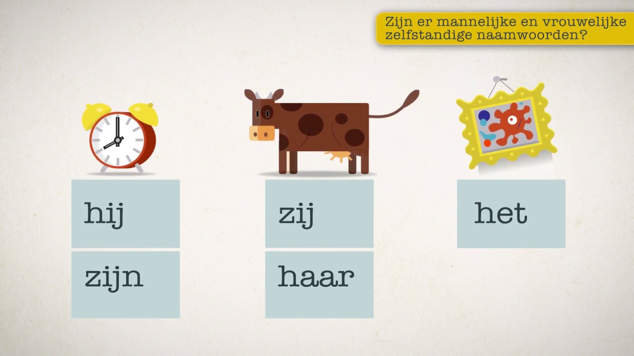 Mannelijk Of Vrouwelijk Woord Nederlands