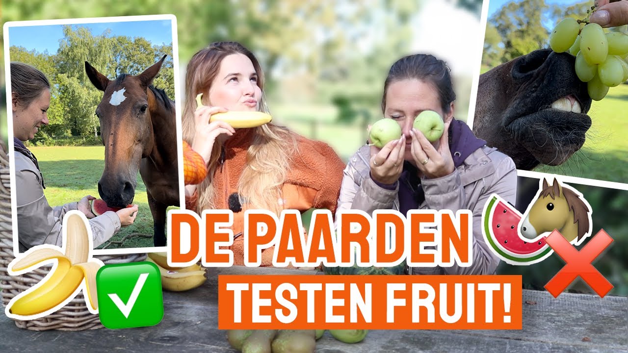 TASTE TEST Welk fruit eten onze paarden?! - YouTube - Welk Fruit In De Koelkast