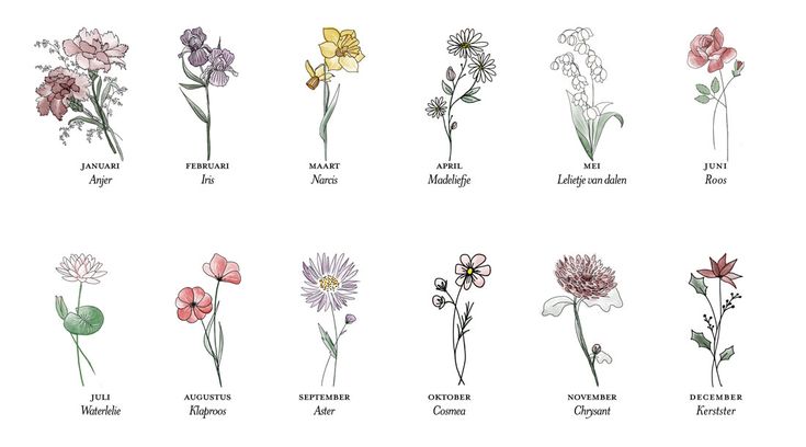 Tatoeage bloemen, Geboorte bloem, Geboorte bloem tatoeages - Welke Bloem Hoort Bij Mijn Naam