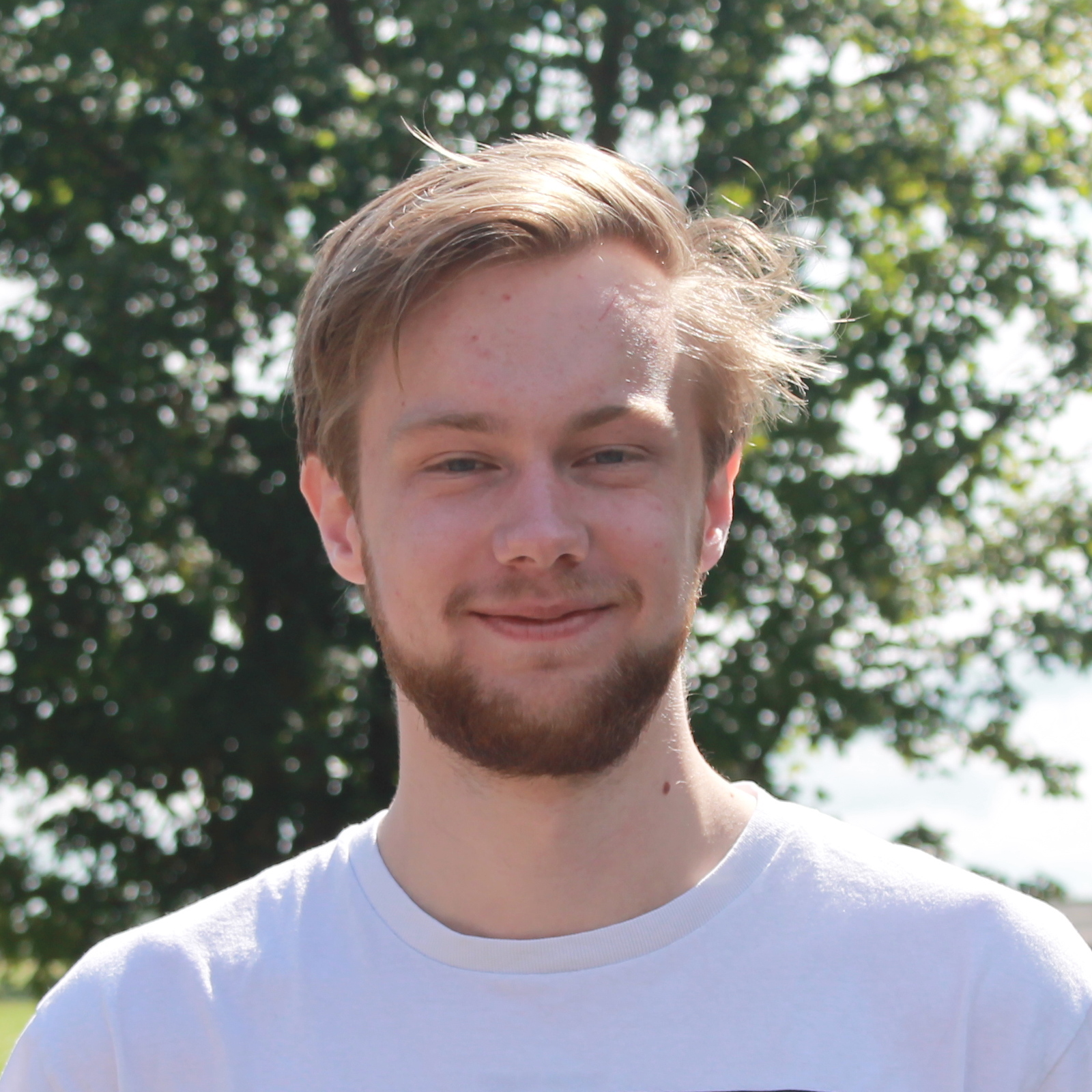 Teaching – Splinter Suidman - Molecular And Biophysical Life Sciences