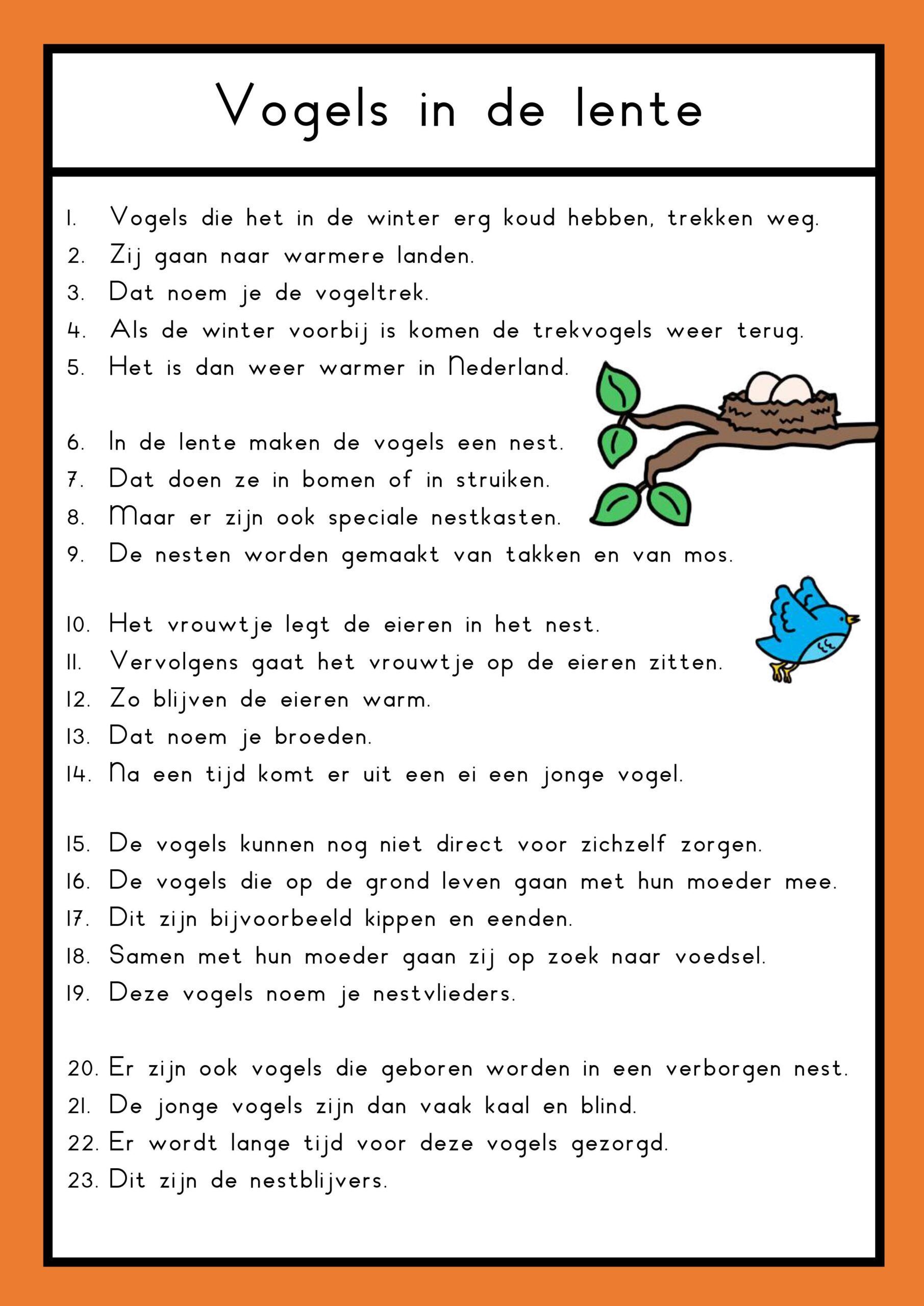 Teksten thema lente groep 4 - Klas van juf Linda | 2de leerjaar lezen - Tekst Begrijpend Lezen Groep 8