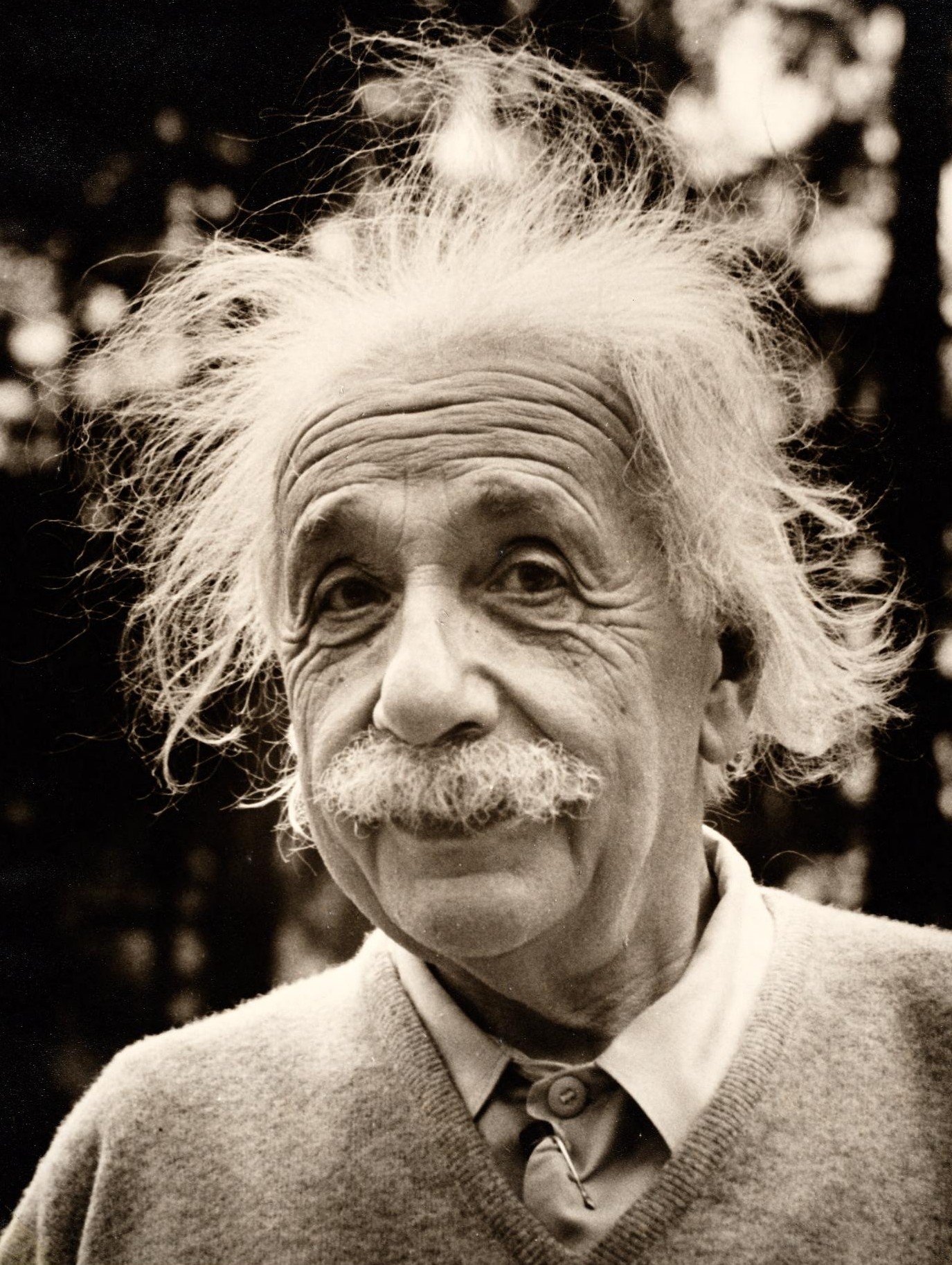 Ten Facts You Should Know about Albert Einstein - Albert Van Saksen Coburg En Gotha Kinderen
