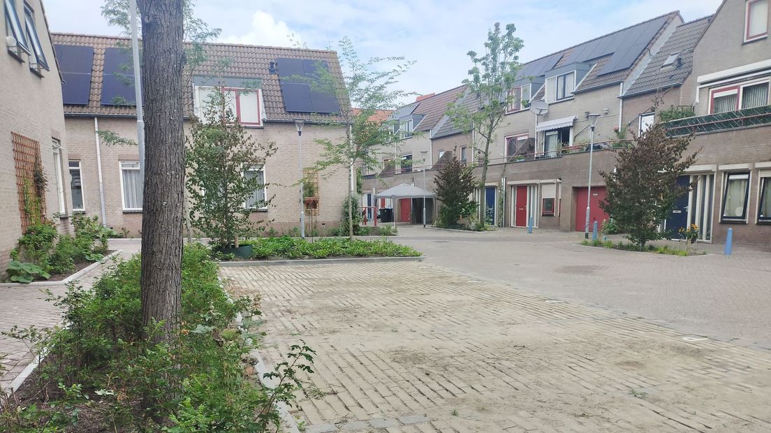 Terneuzenaren bouwen hun straat om naar een groen paradijsje voor nieuw - Achter De Kerk Terneuzen