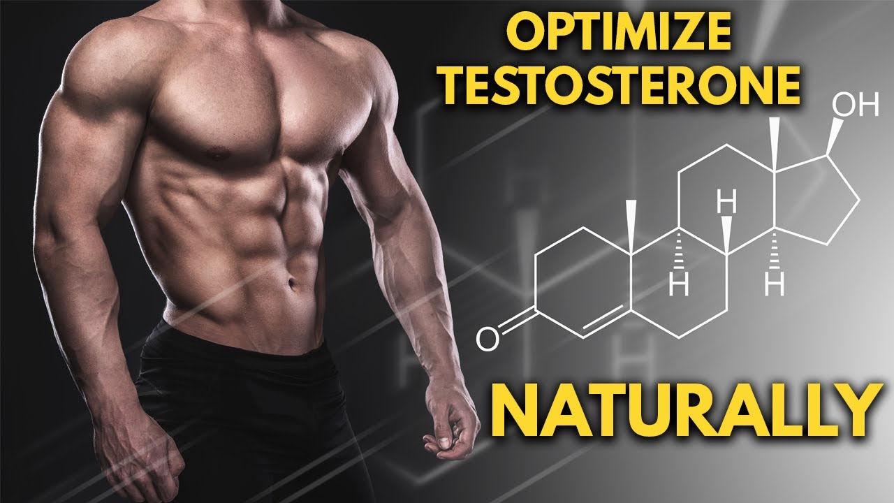 TESTOSTERONUNUZU GERÇEKTEN ARTIRAN VE ARTIRMAYANLAR – FitOlympia - Wat Doet Testosteron Met Je Lichaam