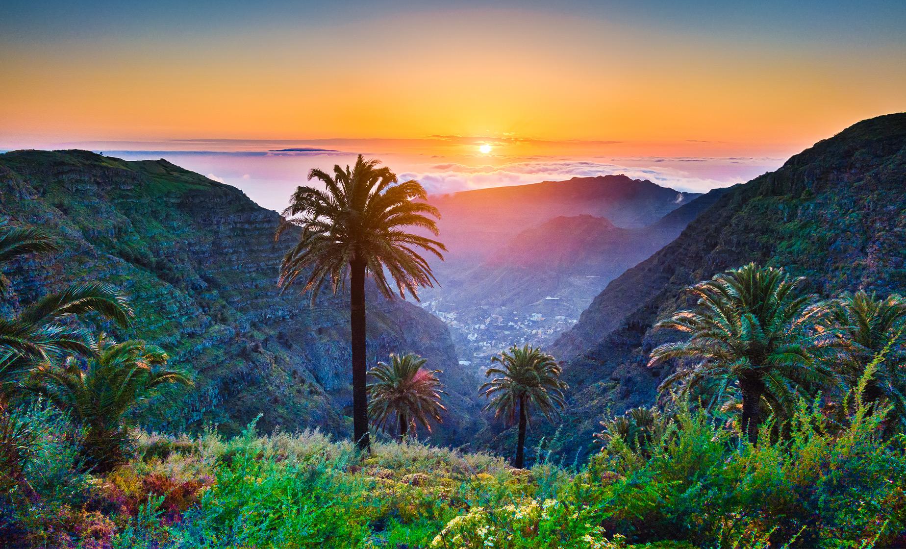 The 10 Best Tenerife, Santa Cruz, Canary Islands Spain Shore Excursions - Tenerife Santa Cruz De Tenerife Spanje