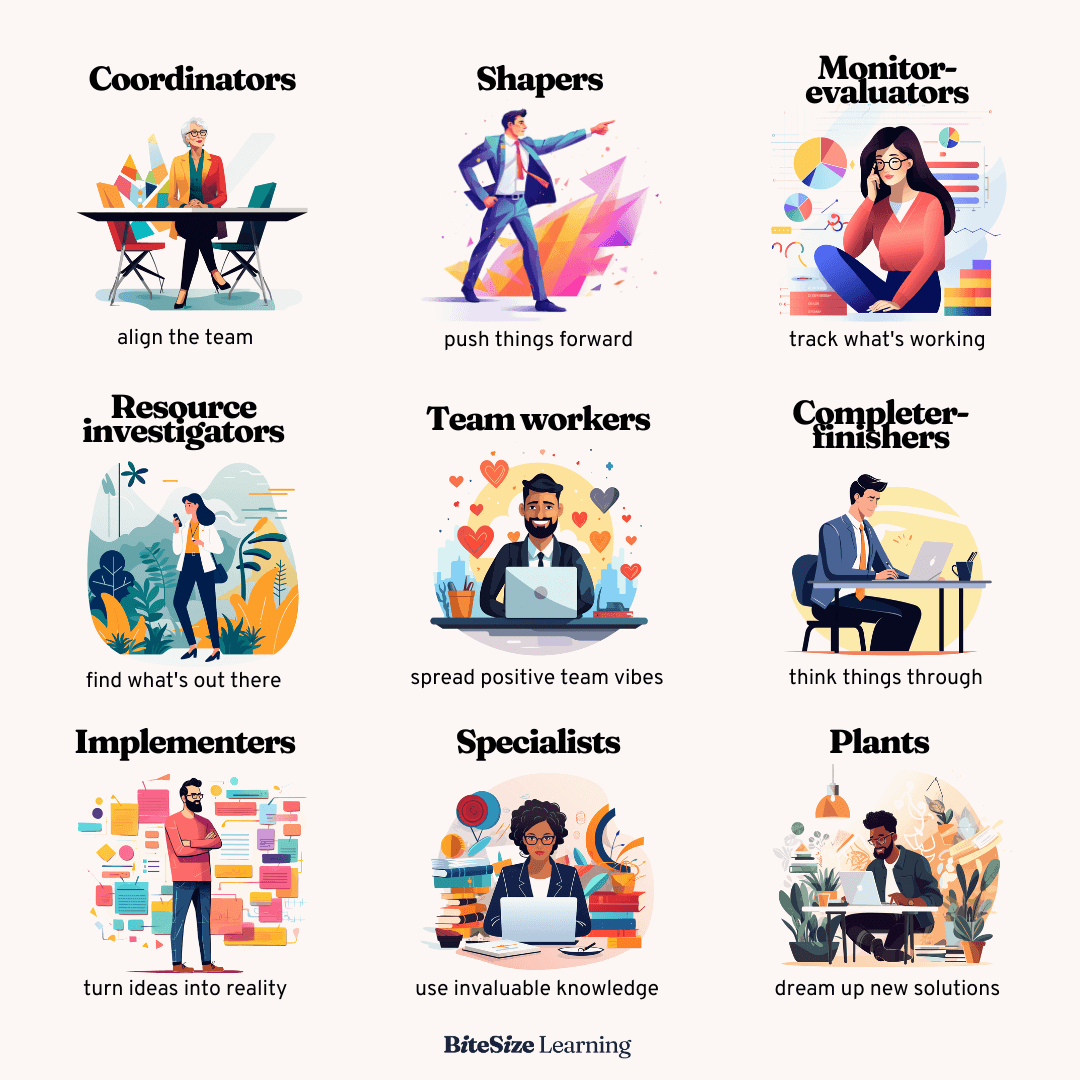 Belbin Team Roles Test Online