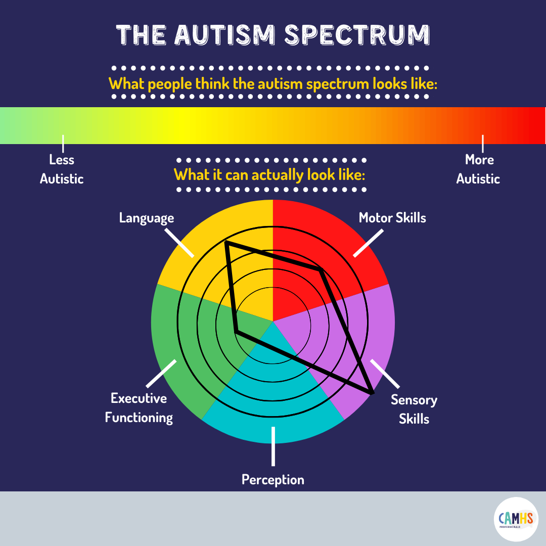 Stoornis In Het Autistisch Spectrum
