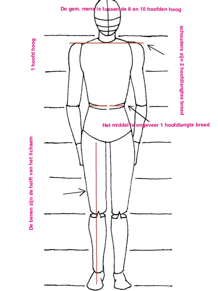 the back view of a man's body with measurements for each part of it - Water In Het Menselijk Lichaam