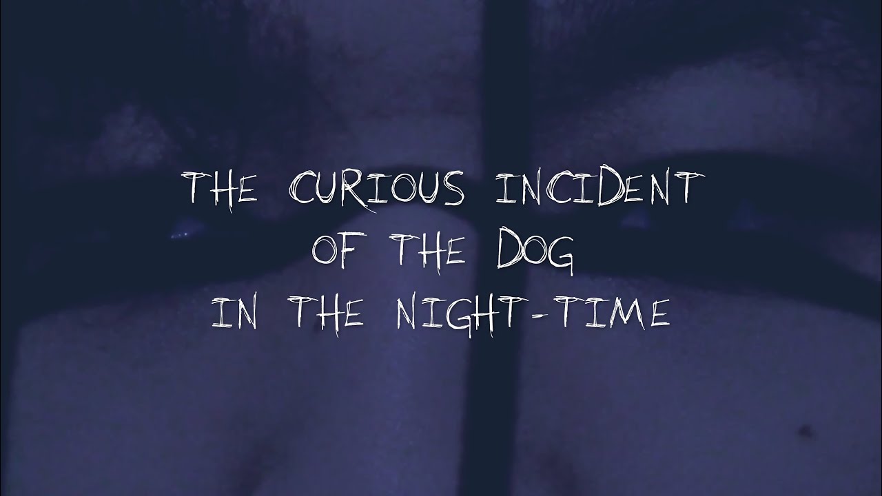 The Curious Incident of the Dog in the Night-Time Movie Trailer - YouTube - Summary Of Curious Incident Of The Dog In The Nighttime