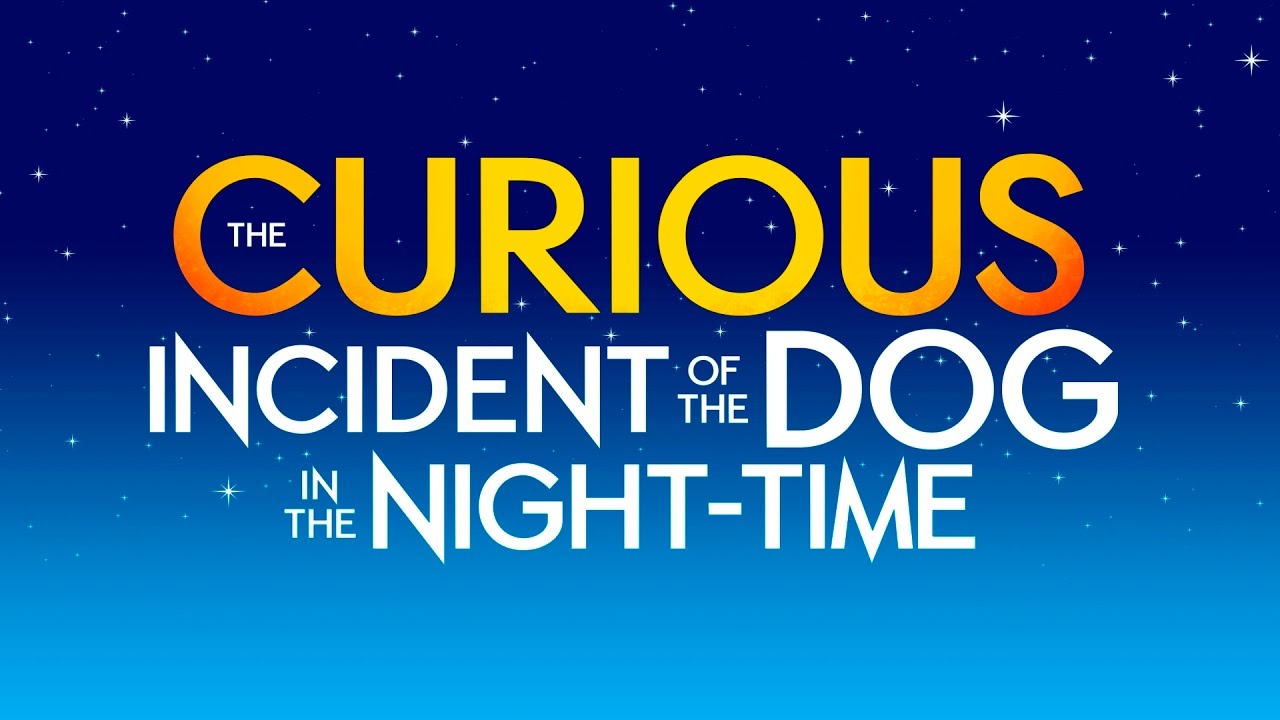 Curious Of The Dog In The Nighttime