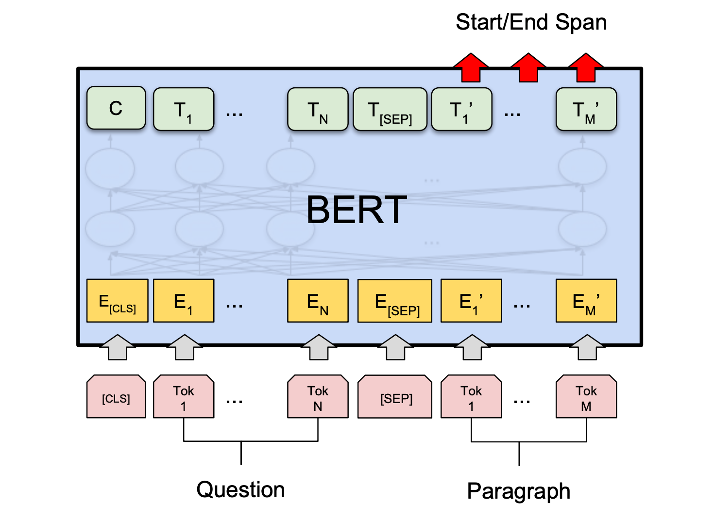 The Flow Chart Of The Bert Model For Sentiment Classi - vrogue.co - Bert En Ernie Wie Is Wie
