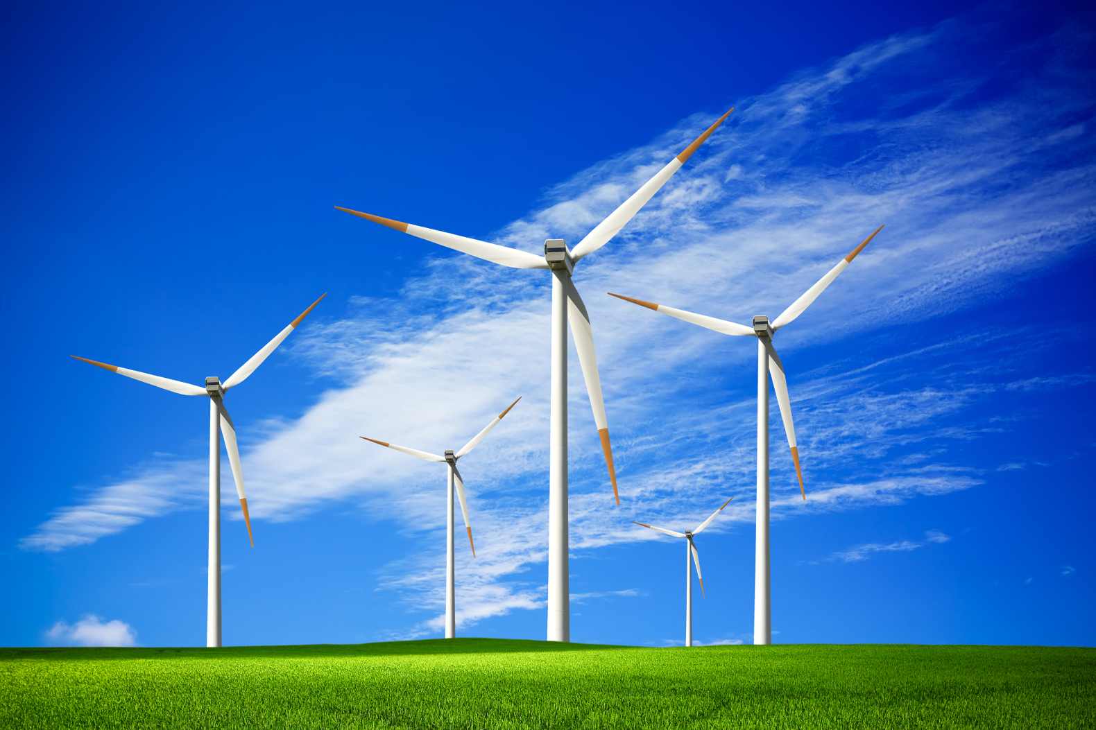 The Himachal Pradesh government has selected 12 sites for the - Wind In De Tropen 7 Letters