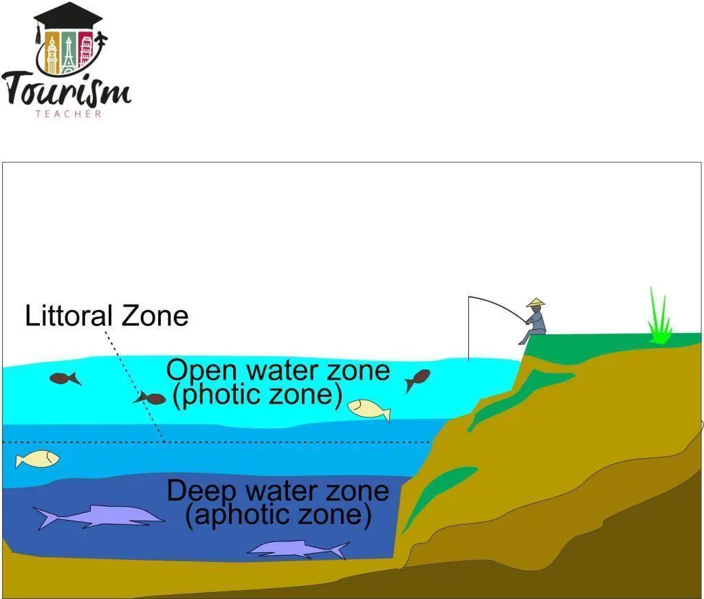 The littoral zone made SIMPLE - The geography teacher - Zone Van Naaste Ontwikkeling Voorbeelden