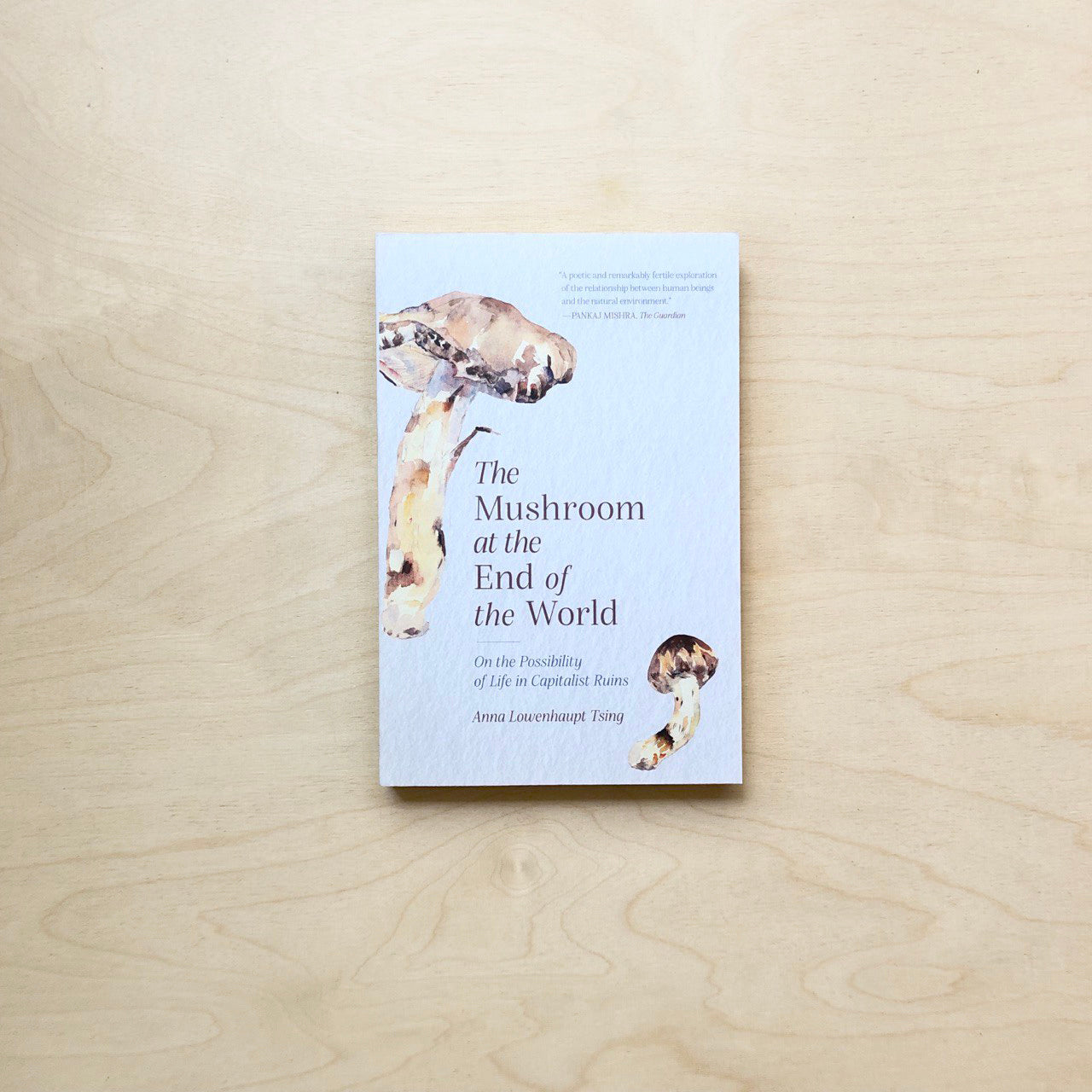 The Mushroom at the End of the World - New Paperback edition - The Mushroom At The End Of The World