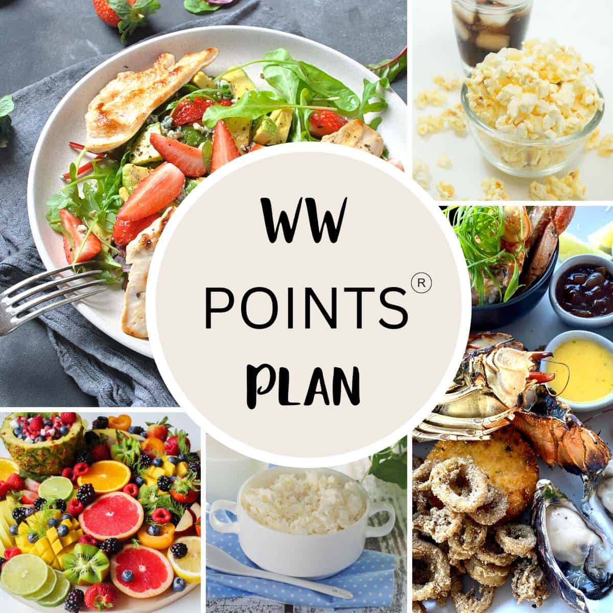 The New Weight Watchers Points Plan explained (2022 / 2023) | Pointed - Ww Uitkering En Eigen Vermogen