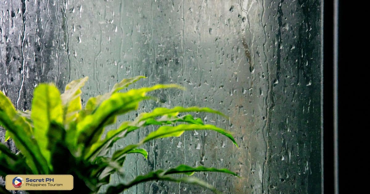 The Philippines' Unique Climate: Understanding the Interplay of Wet and - Wet Op Het Voortgezet Onderwijs