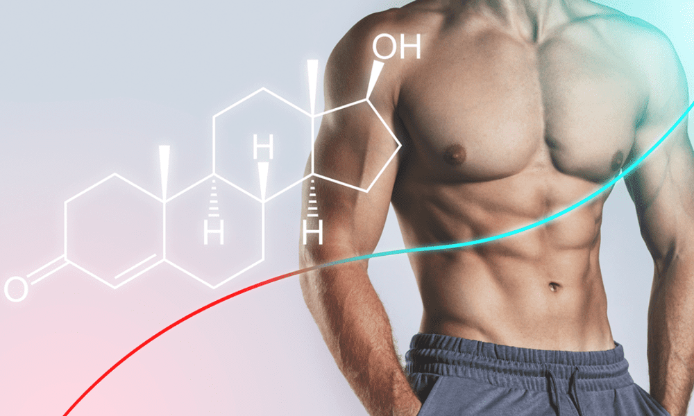 The Side Effects of Testosterone Replacement Therapy: Ageless - Wat Doet Testosteron Bij Vrouwen