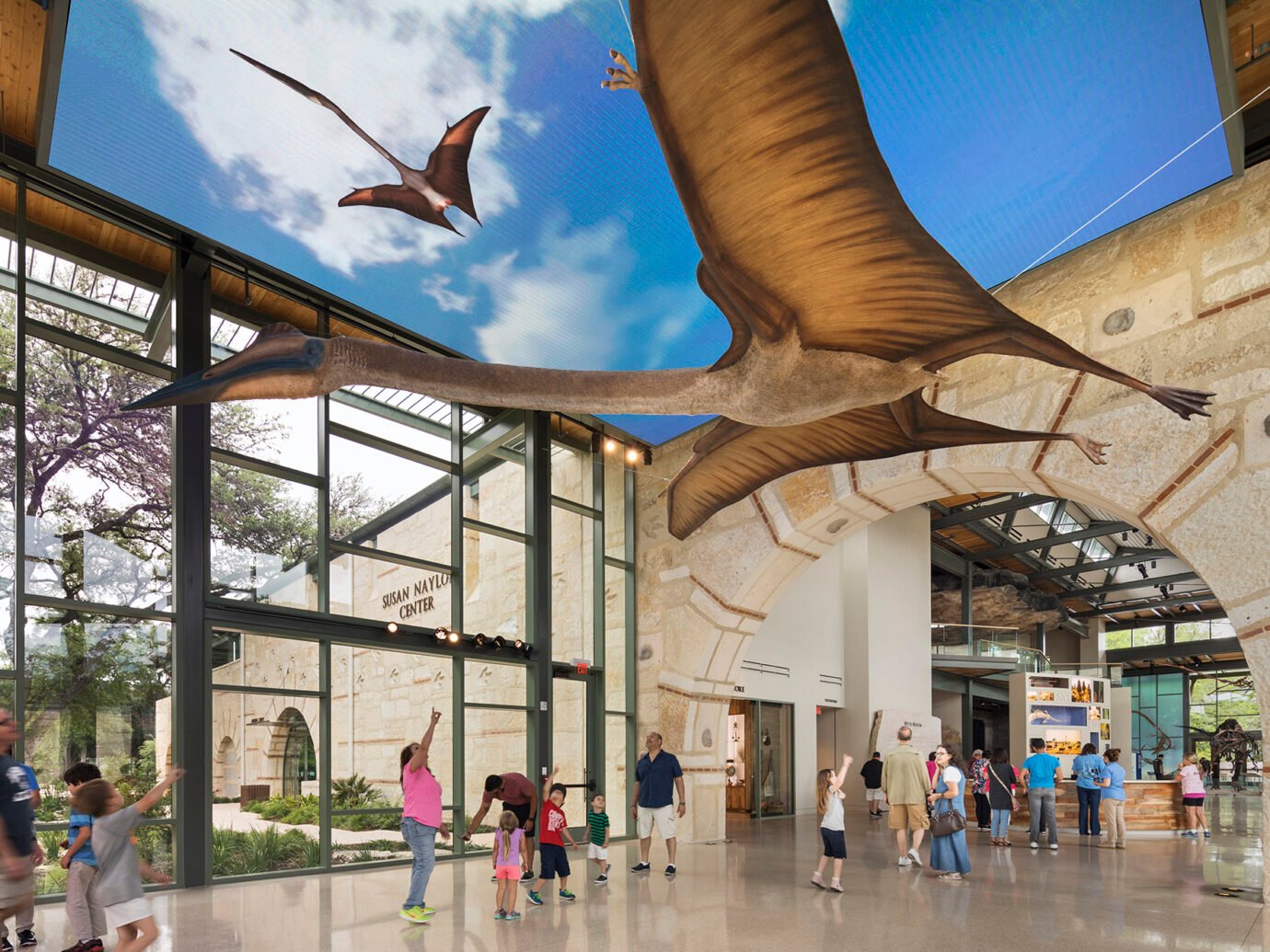 The Witte Museum - G&A - G&A - Witte En Grijze Stof Hersenen