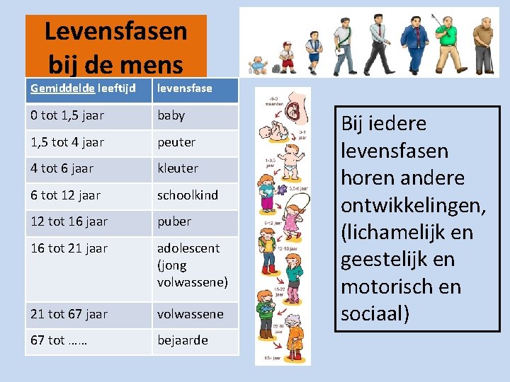 Thema 1 Wat is biologie Basisstof 6 Ontwikkeling - In Welke Levensfase Vindt De Tweede Groeispurt Plaats