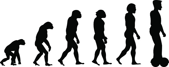 Evolutie Van Aap Naar Mens