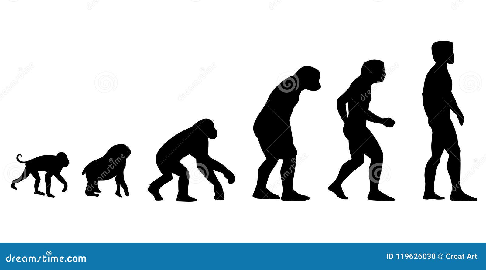 Theory Of Evolution Of Man Vector Illustration | CartoonDealer.com - Evolutie Van Aap Naar Mens