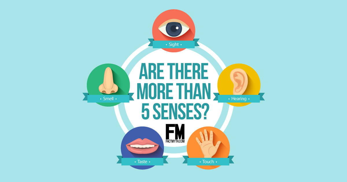 There are Only 5 Senses - Fact or Myth? - Hoeveel Zintuigen Heeft Een Mens