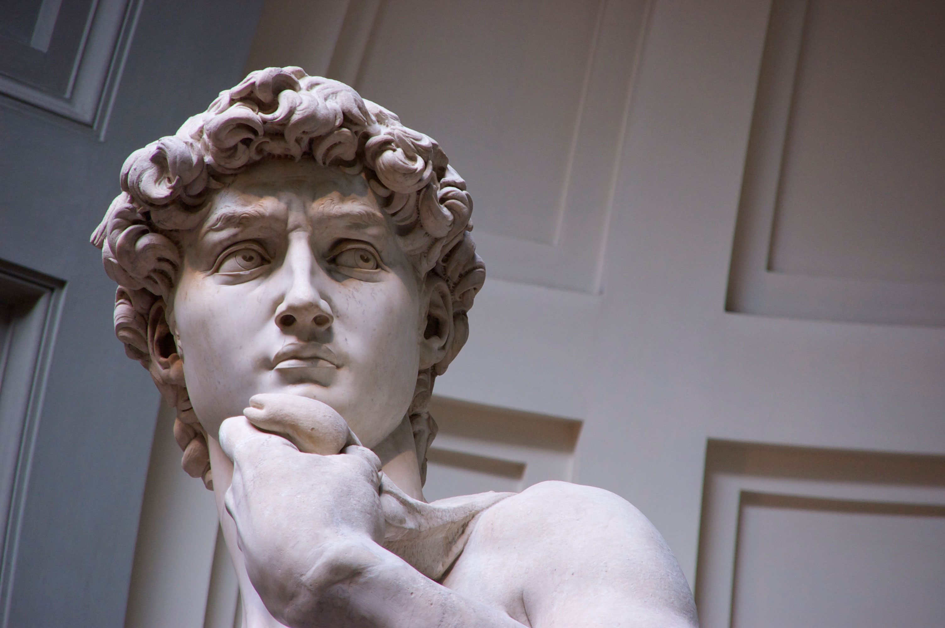 These Ultra Detailed Close-Ups Will Give You a Deeper Appreciation for - David Pefko De Gebroeders Maxilari