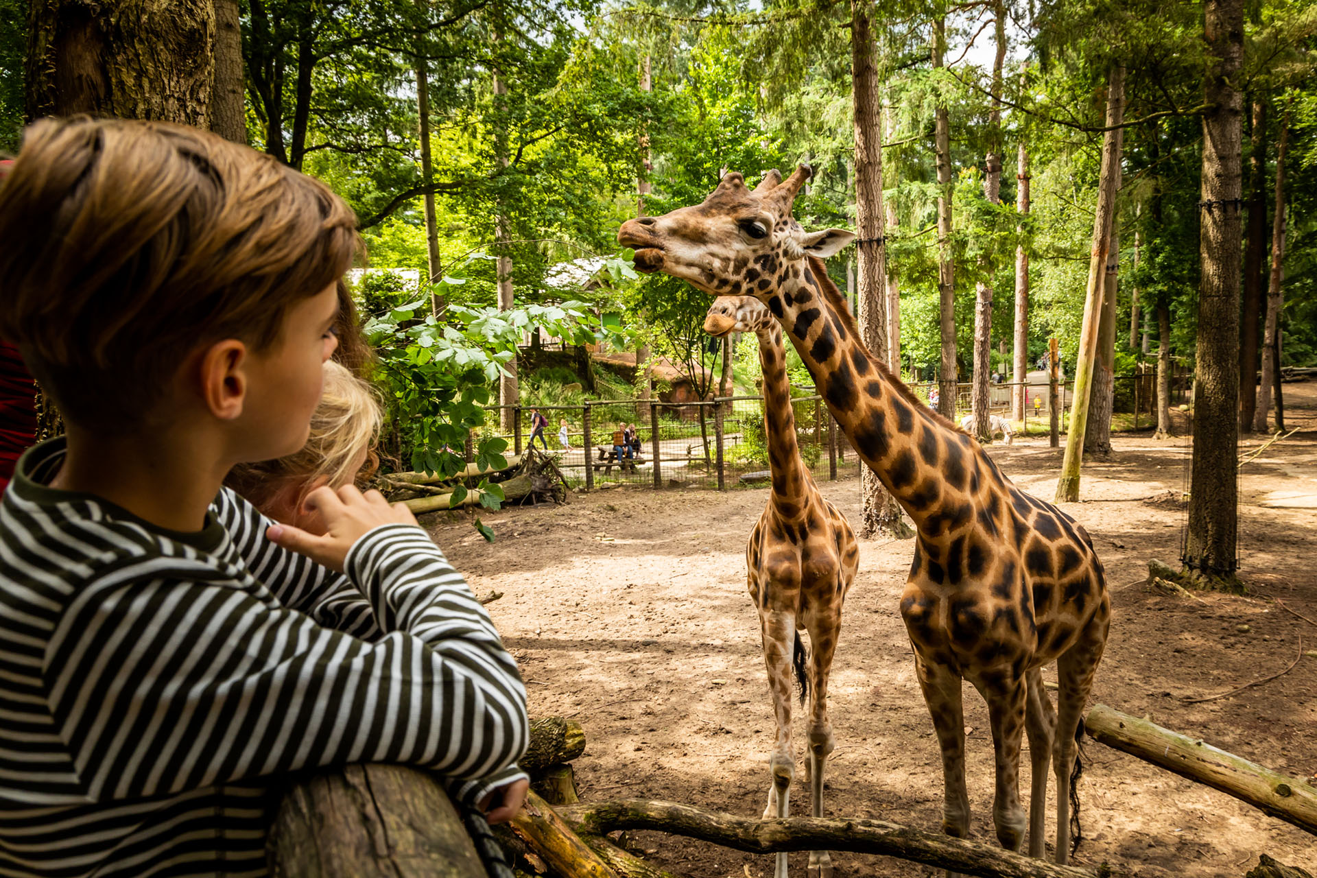 Dierenpark Taman Indonesia Kallenkote 53 8345 He Kallenkote