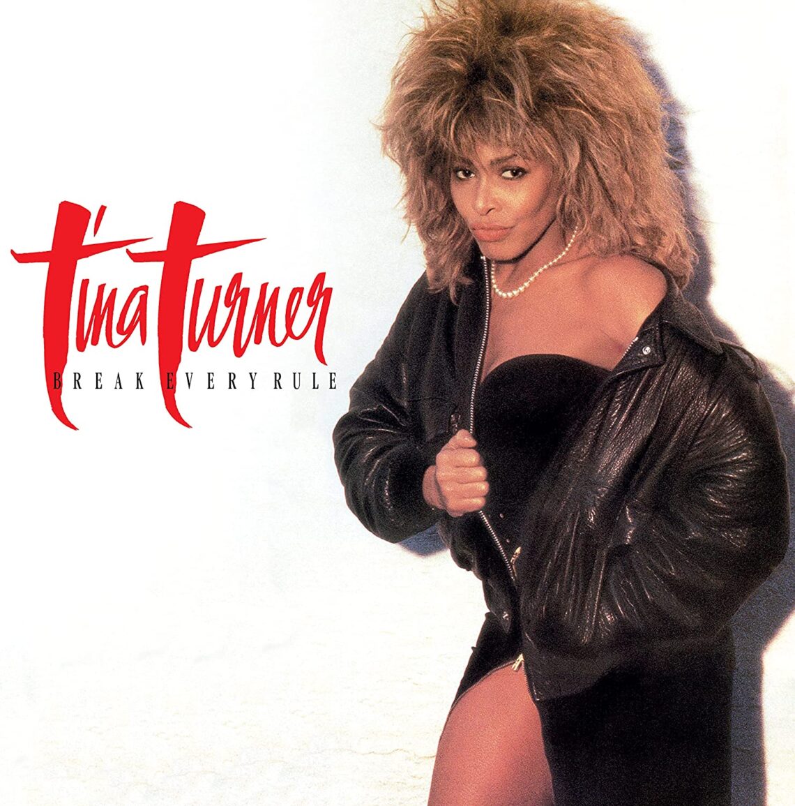 Tina Turner to Reissue 'Break Every Rule' Album - Rated R&B - Tina Turner We Don't Need Another Hero Songteksten