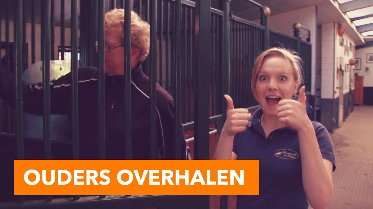 Iemand Overhalen Om Iets Te Doen