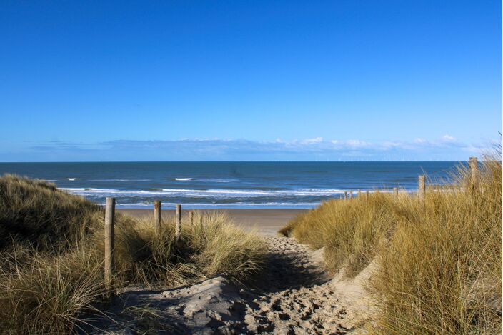 Toename zonuren 's winters net zo groot als in de zomer - Weer.nl - Weer Castricum Aan Zee
