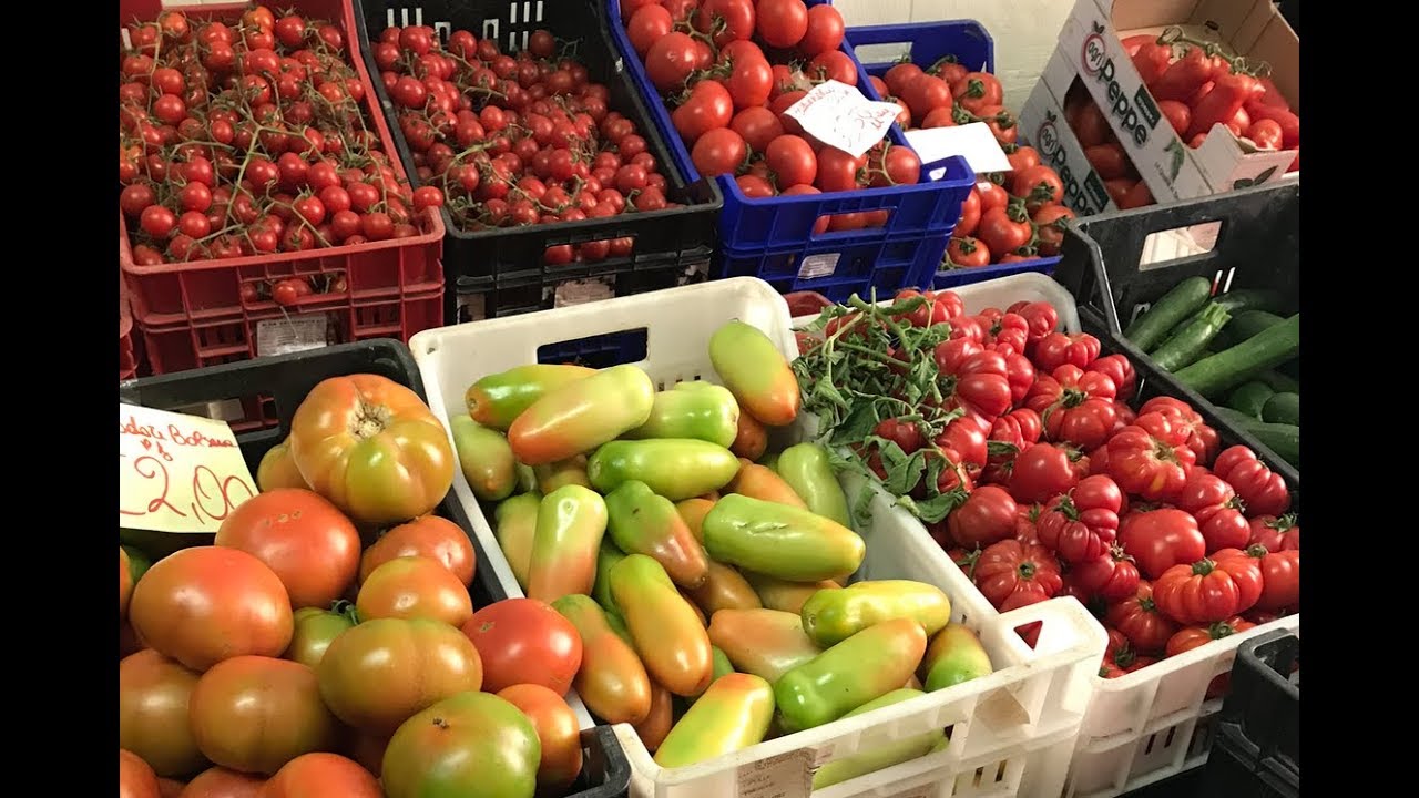 TOMATEN, ZOVEEL SOORTEN ZOVEEL SMAKEN - YouTube - Hoeveel Soorten Tomaten Zijn Er