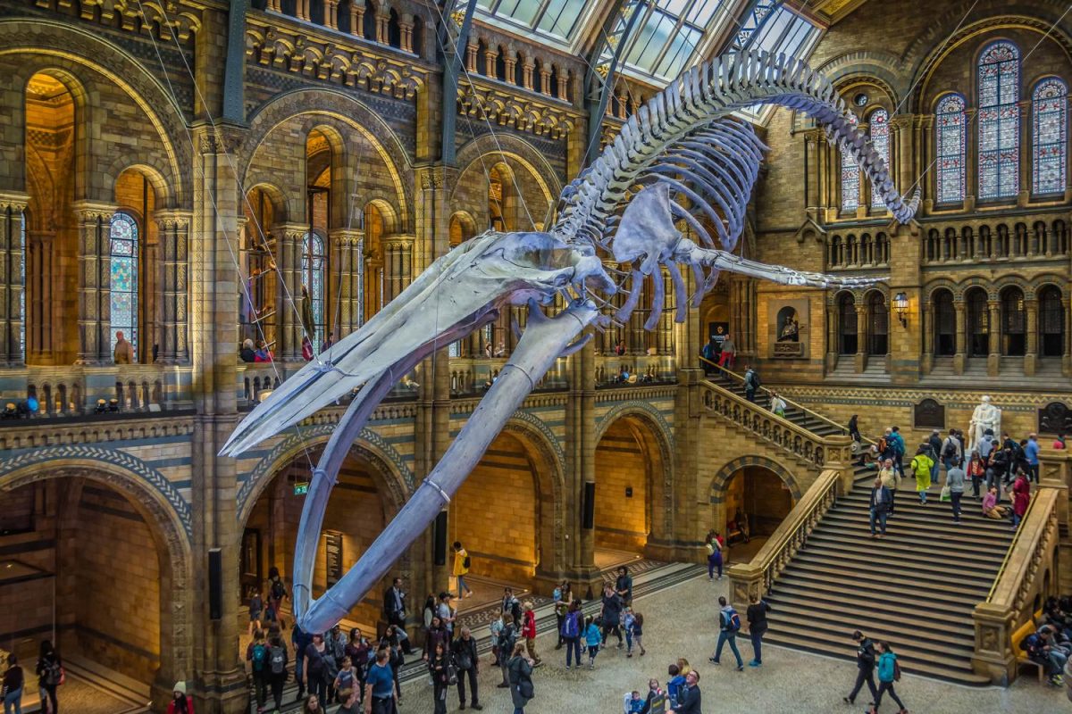 Top 10 museums to visit in the UK - MET Coaches - Museum Voor Beeld En Geluid Hilversum Openingstijden