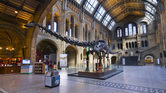 Top 10 Things to See and Do in London, England - Museum Beelden Aan Zee Harteveltstraat 1 2586 El Den Haag