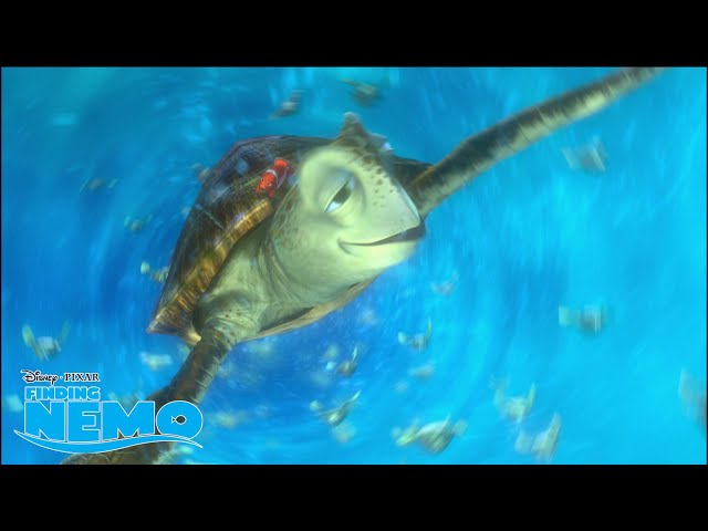Hoe Heet De Vader Van Nemo
