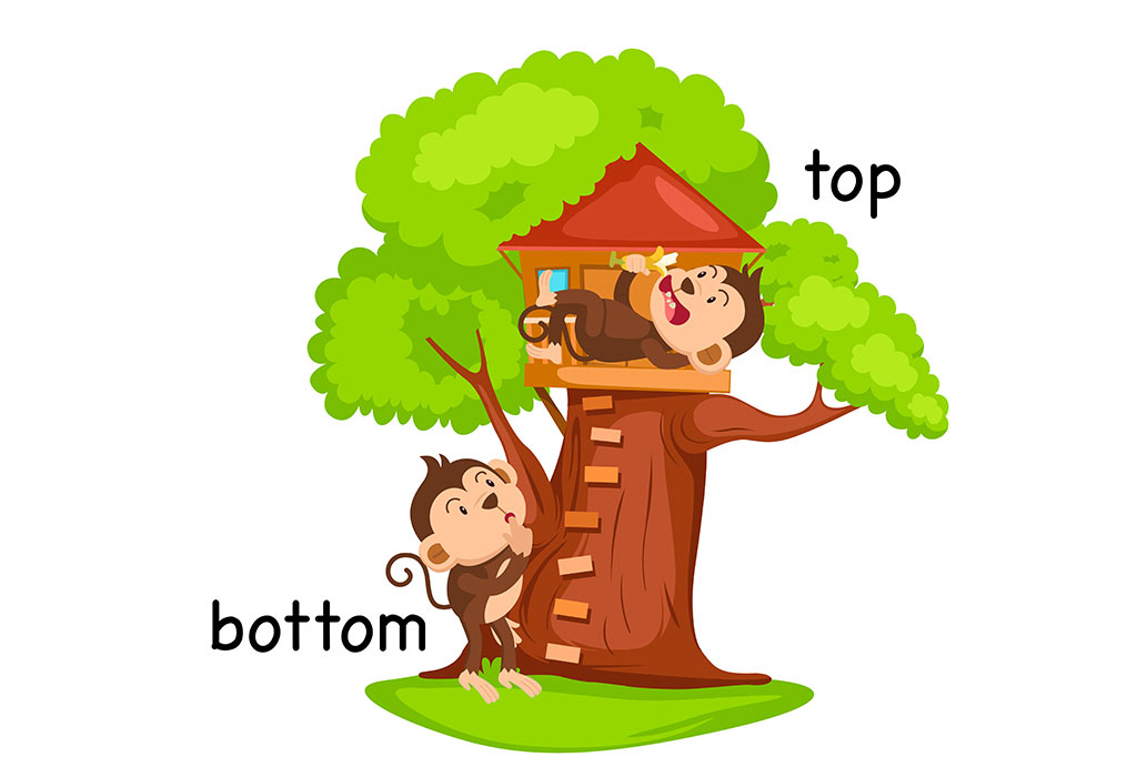 Bottom Up Top Down Betekenis