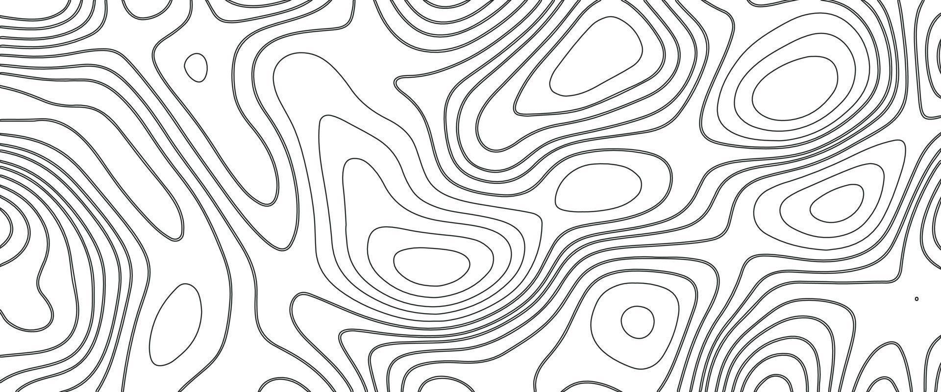 Topographic Background and Texture: Modern Black and White Art - Topo Nederland Provincies En Hoofdsteden