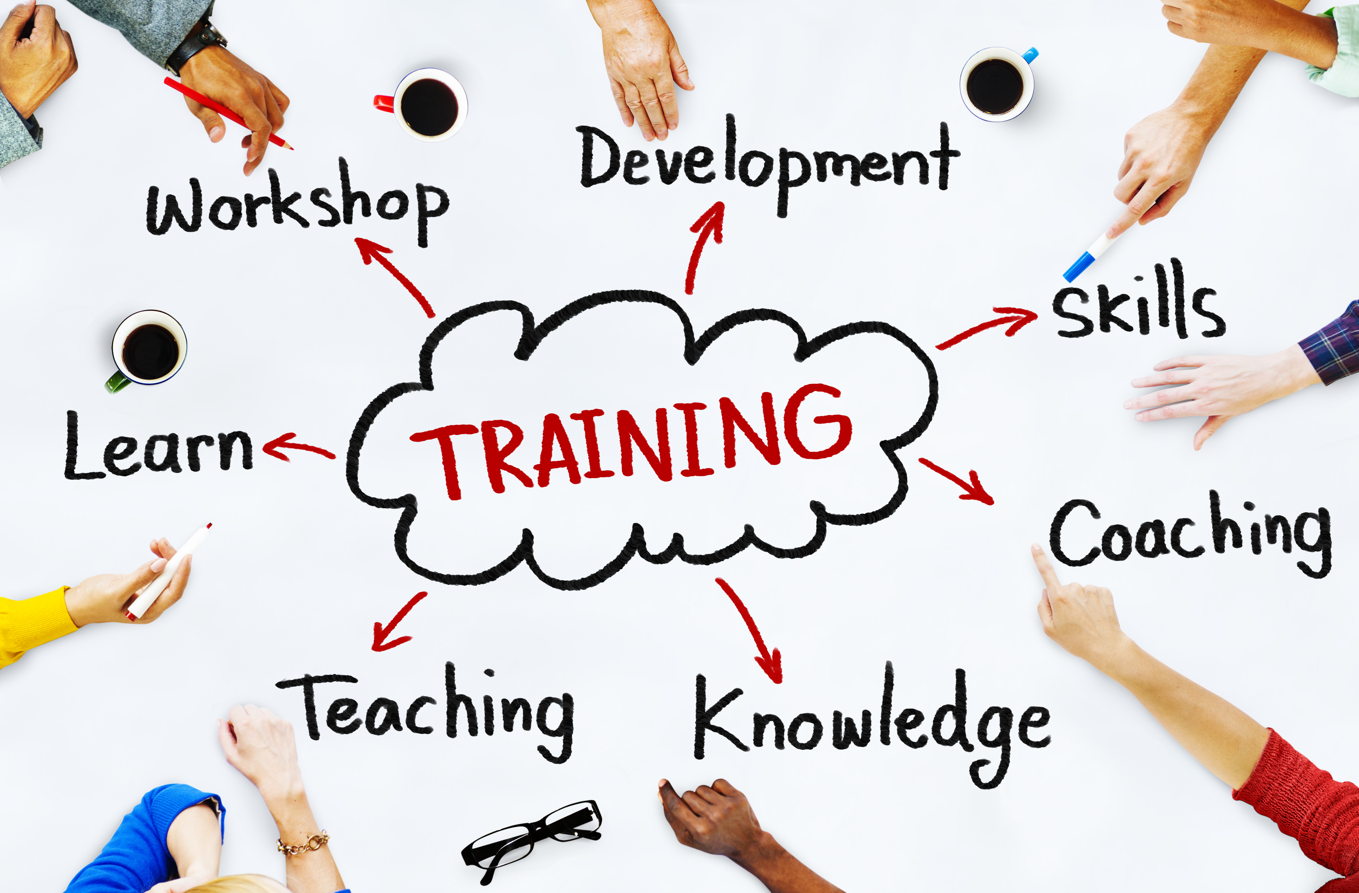 Training - Training In Relatie Staan Tot De Omgeving