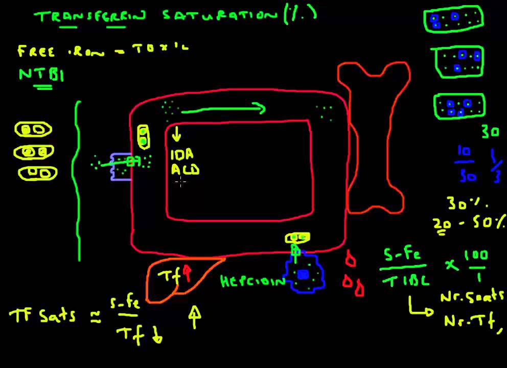 Transferrin Saturation Explained - YouTube - Transferrine Saturatie Te Laag Symptomen