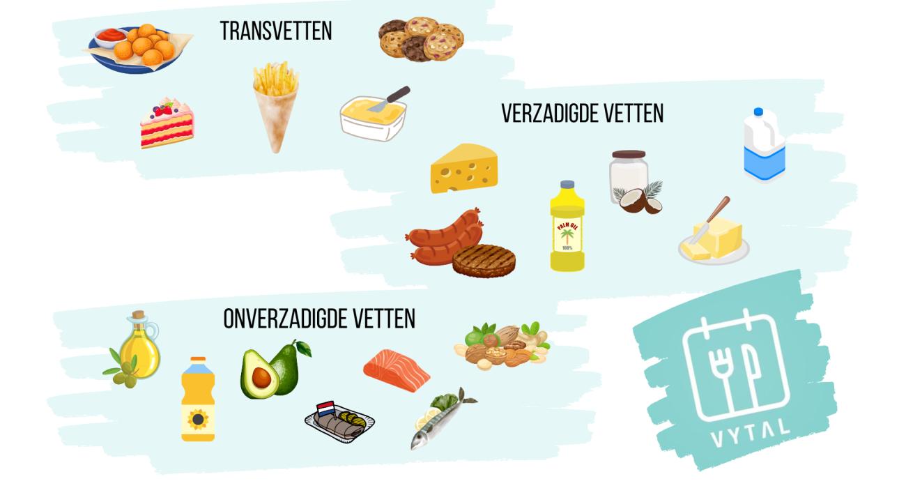 Transvetten, onverzadigde en verzadigde vetten uitgelegd - Wat Is Beter Verzadigde Of Onverzadigde Vetten