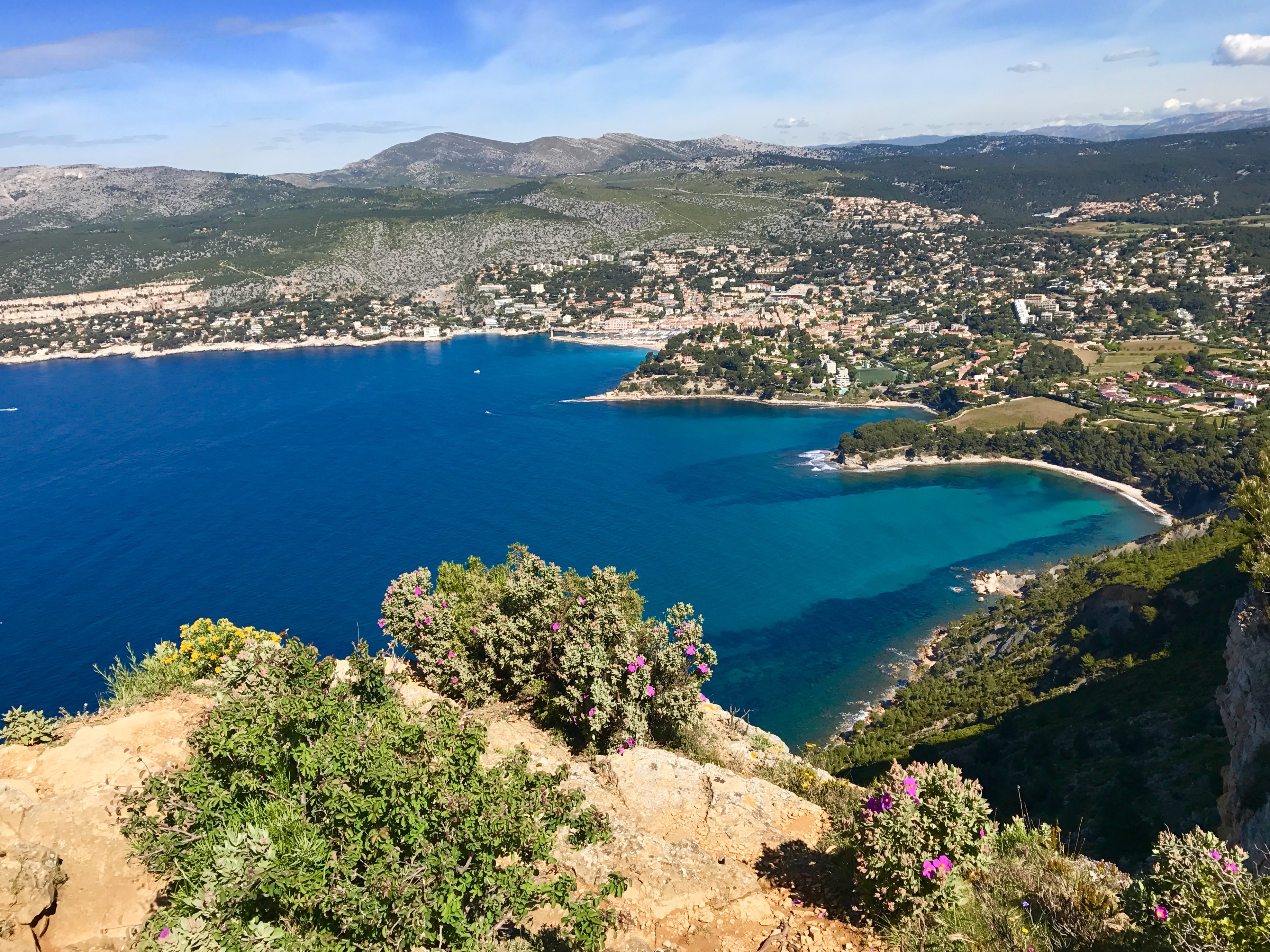 Cassis De Dijon Case Summary
