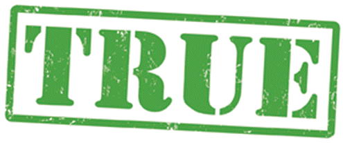 True | Img dictionary Wiki | Fandom - True Diary Part Time Indian