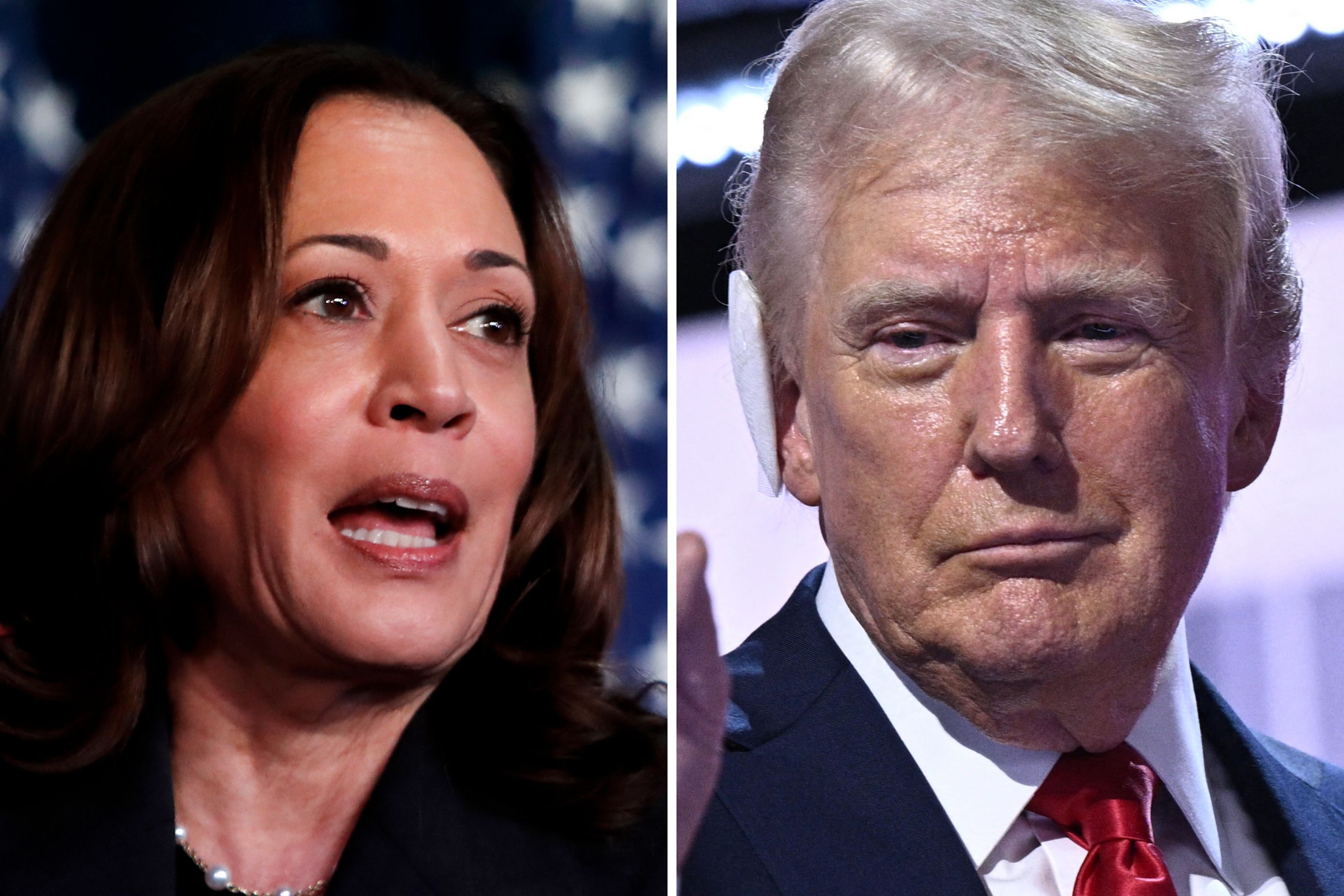 Trump Vs Harris 2024 Policies - Pauly Betteann - Wat Zijn De Plannen Van Kamala Harris